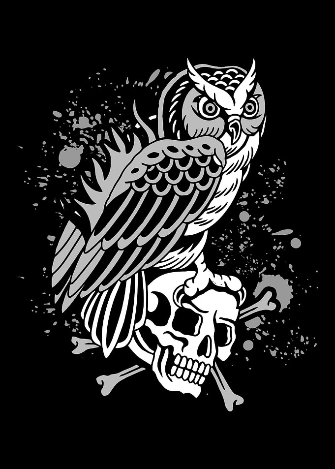 Hunting Owl Scary