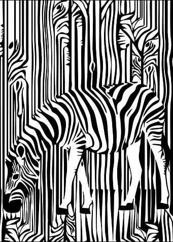 zebra 2