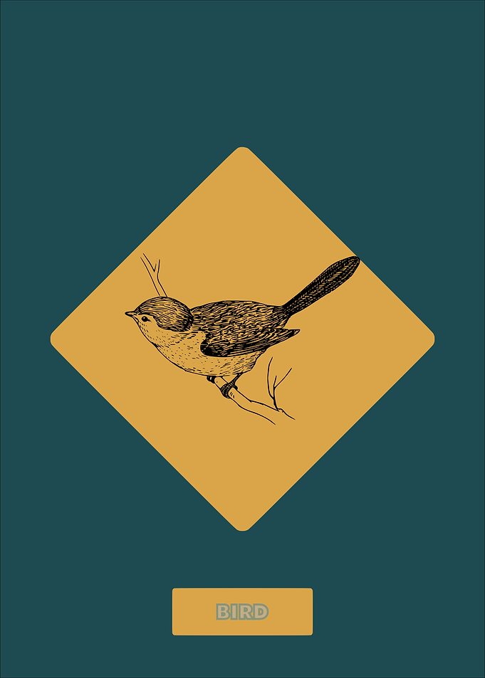 Bird