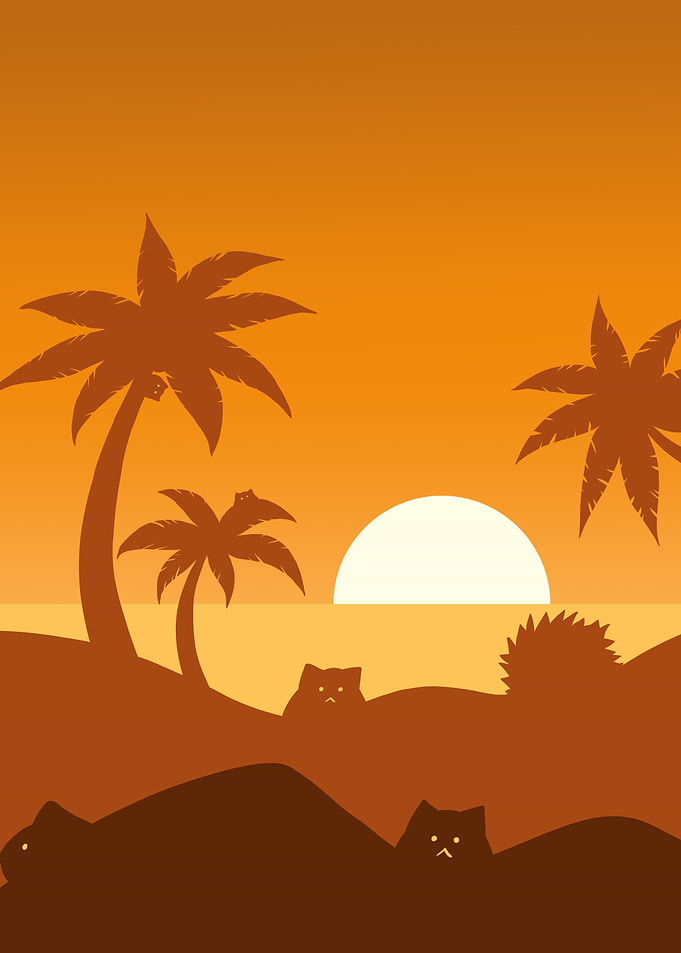 Sunset cat