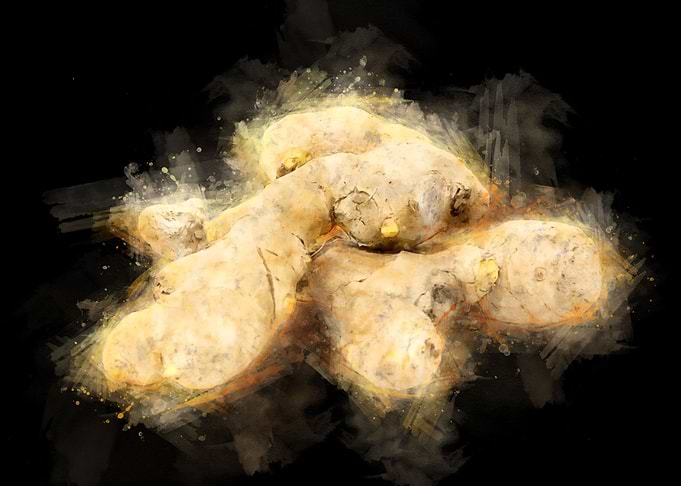 ginger watercolor