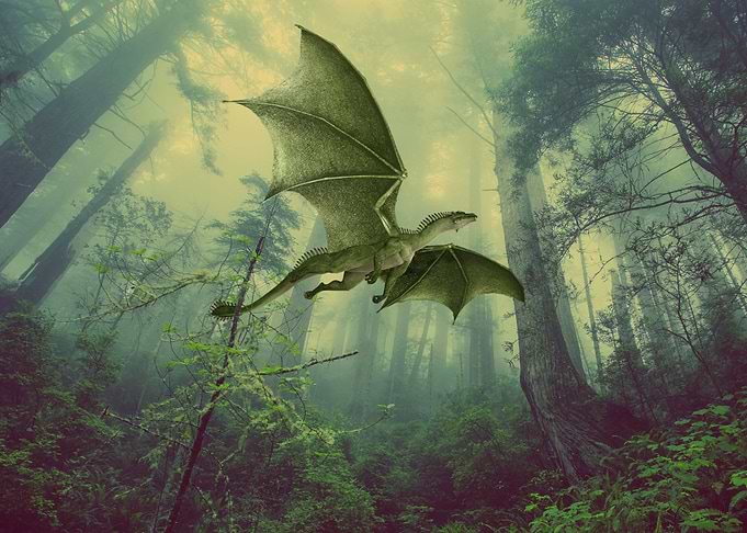 Mystic Animal Pictures