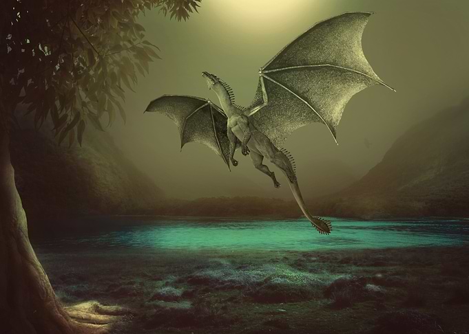 Mystic Animal Pictures