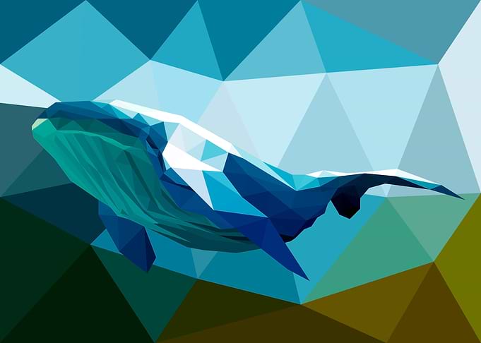 Whale