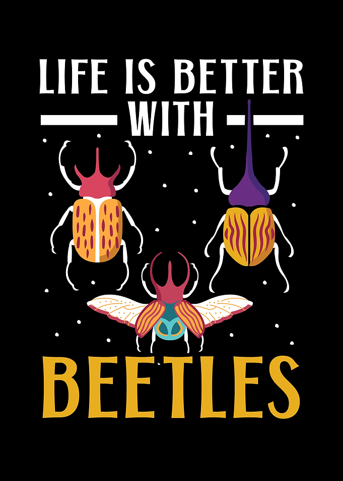 Beetle Lover