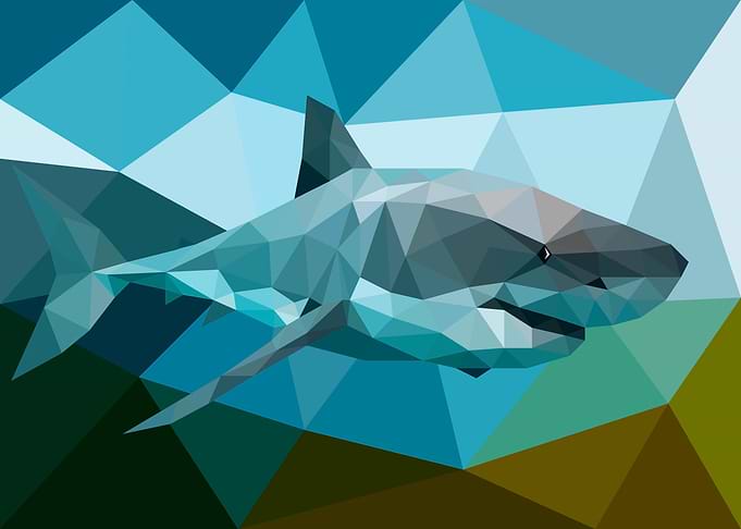 Shark