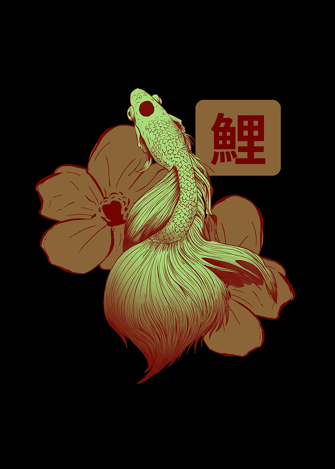 Japanese Koi Fish