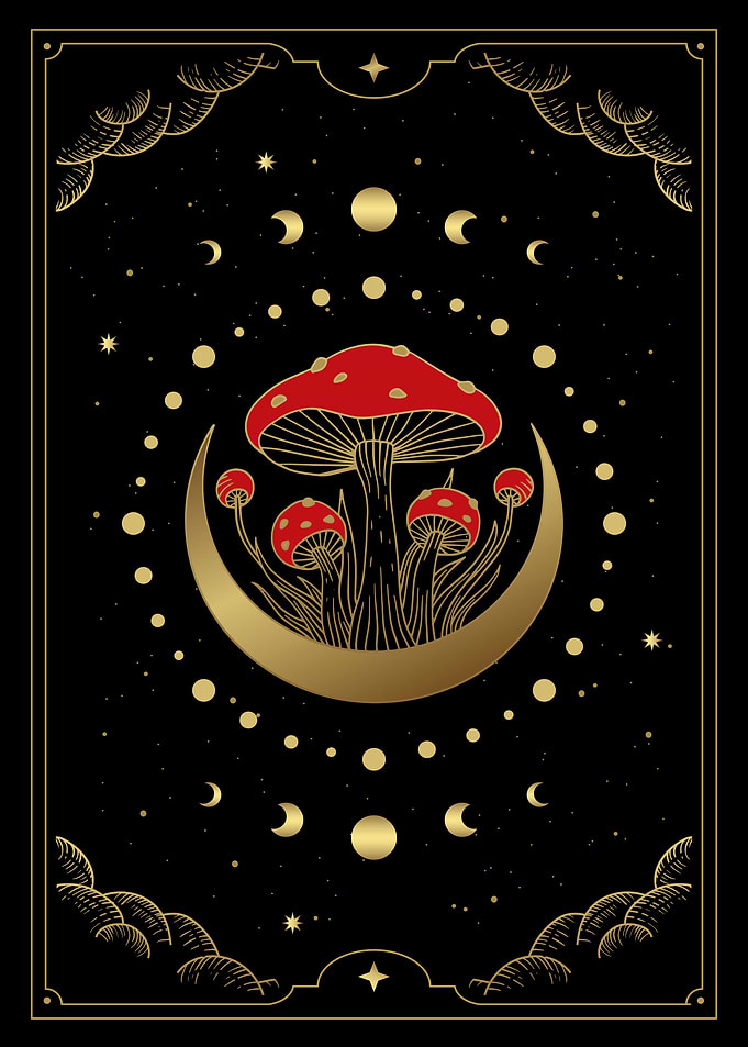 Tarot mushroom growing