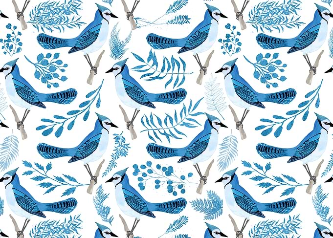 The Blue Jay