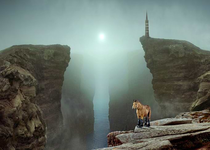 Mystic Animal Pictures