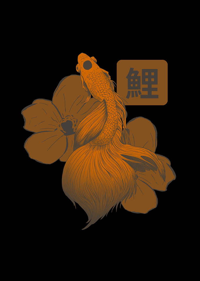 Japanese Koi Fish