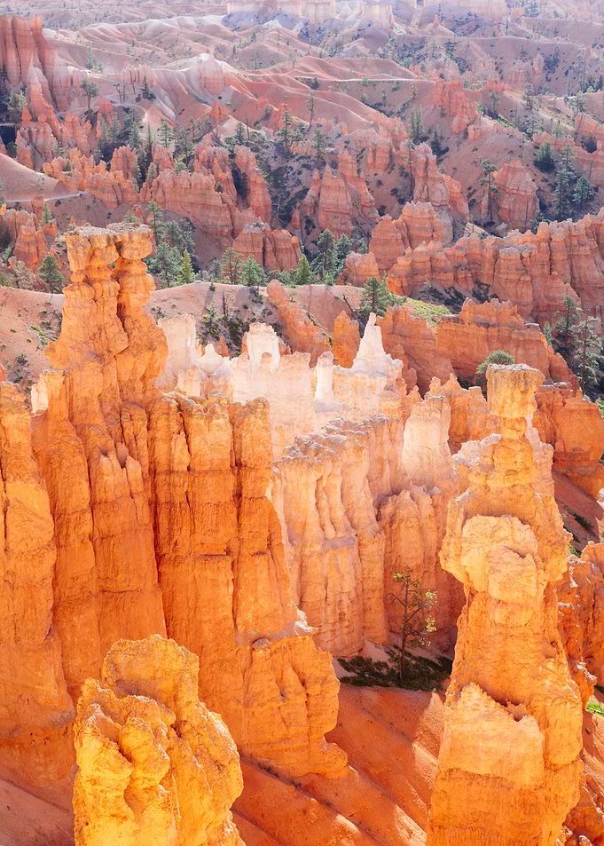 Bryce Canyon rocks