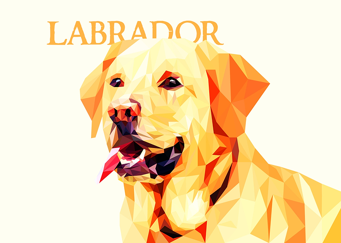 Labrador