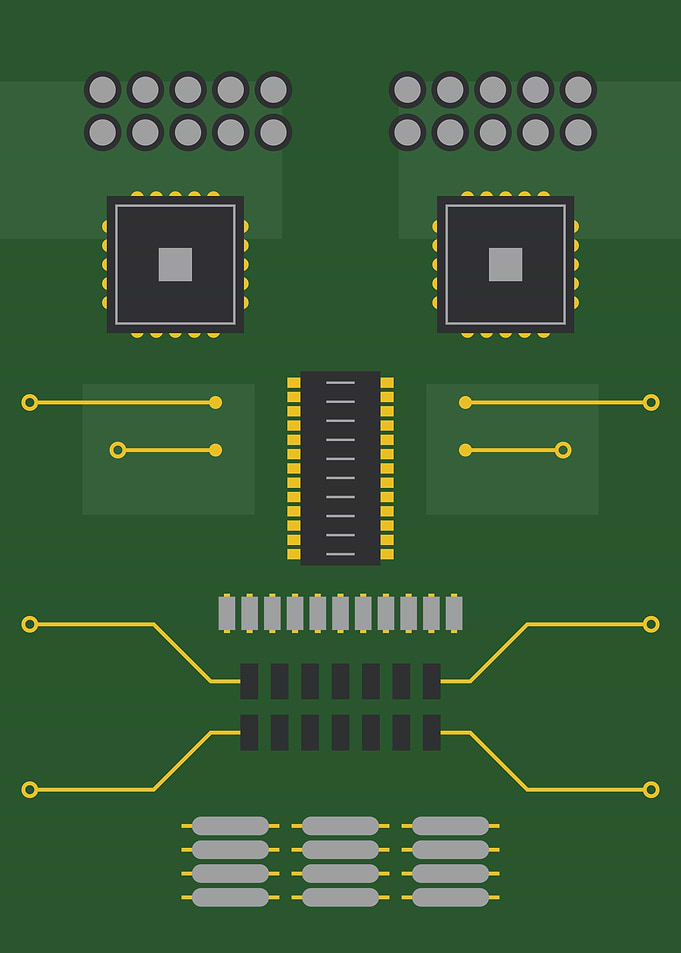 Microcircuit portrait