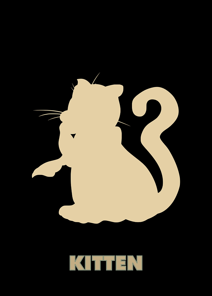 Kitten