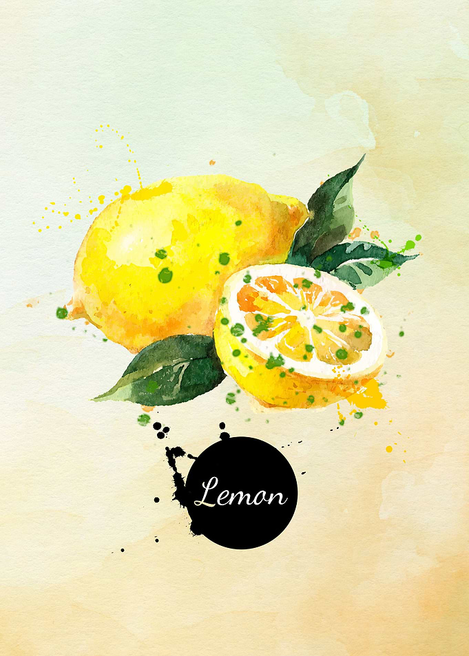 lemon fruit watercolor