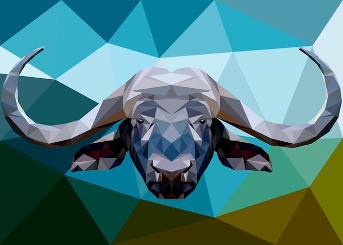 Buffalo