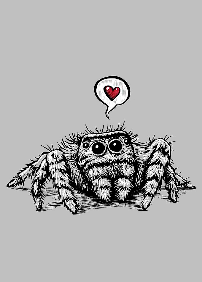 Spider Love