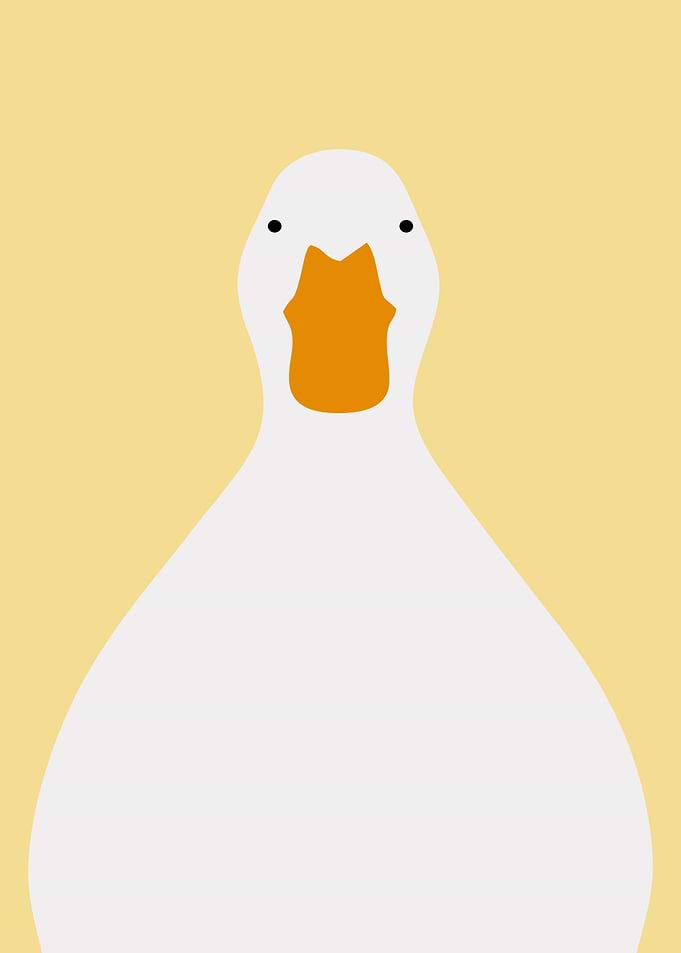 MEME POSTER