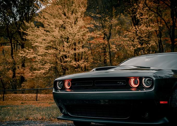 dodge