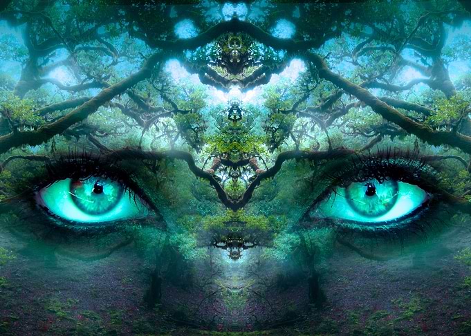 Mystic Animal Pictures