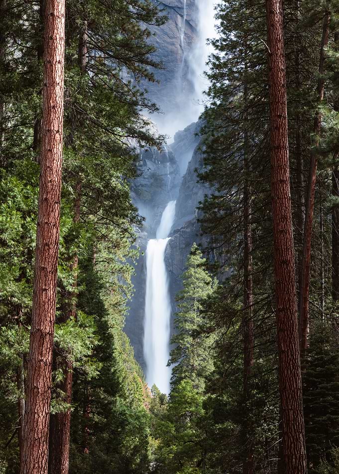 Waterfall and Forest USA