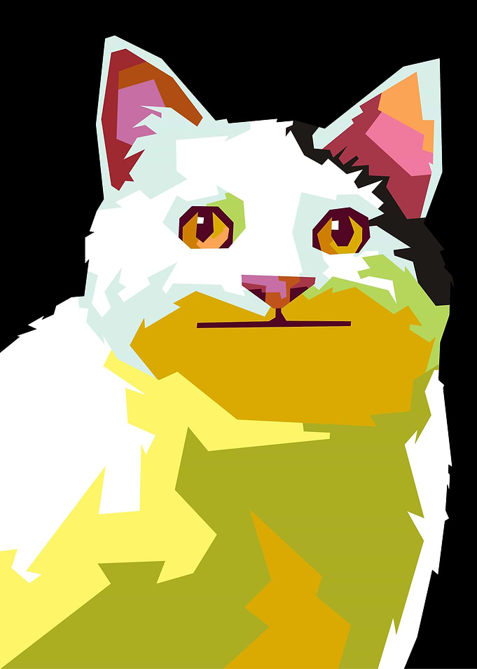 cat meme
