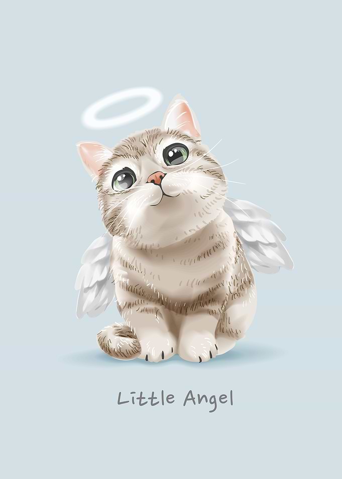 Cute angel cat