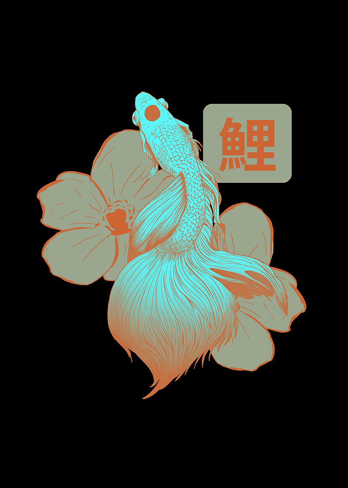 Japanese Koi Fish