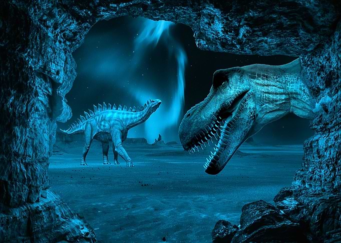 Mystic Animal Pictures