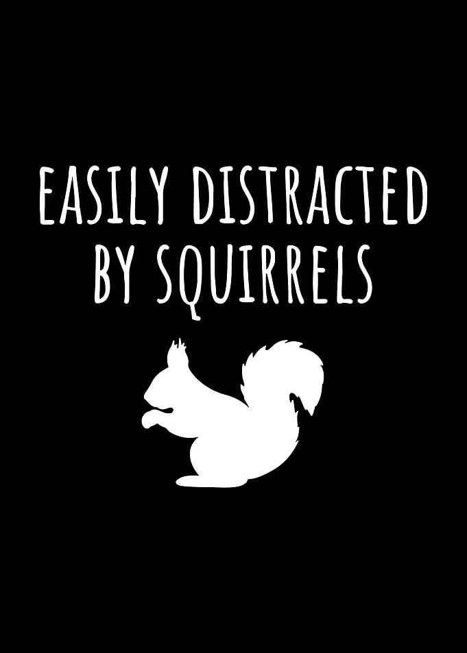 Easily Distracted by