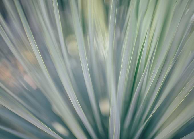 futuristic blur