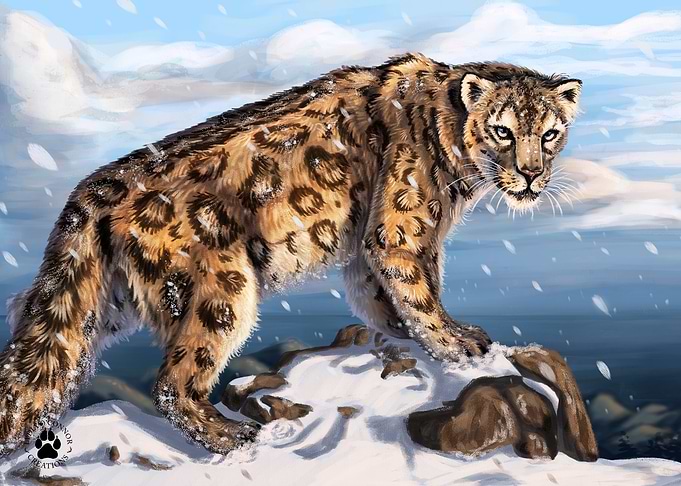 Snow Leopard Mountain