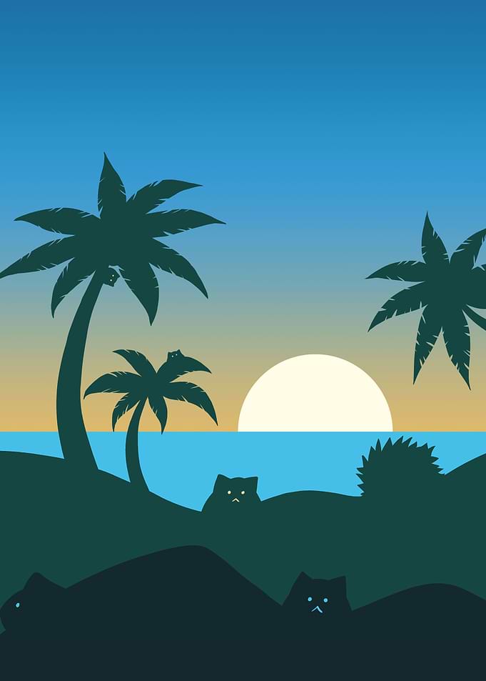 Sunny cat beach