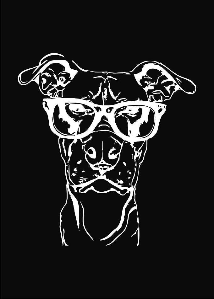 Dog with glasses
