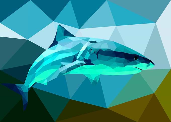 Shark