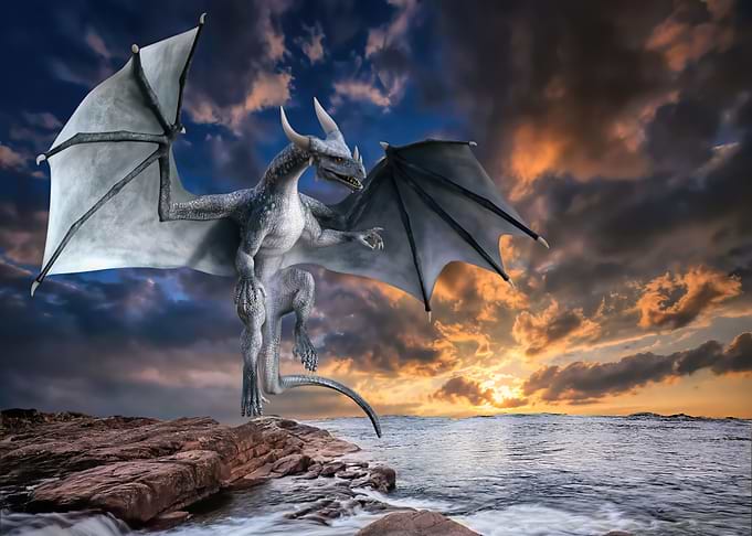 Mystic Animal Pictures