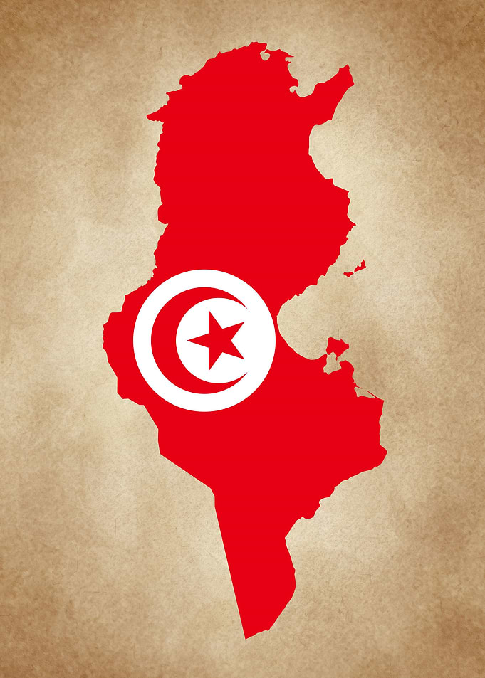 Tunisia vintage map
