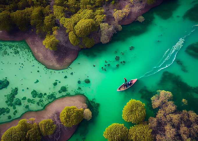 ayaking along