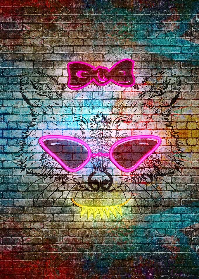 Raccoon in sunglasses