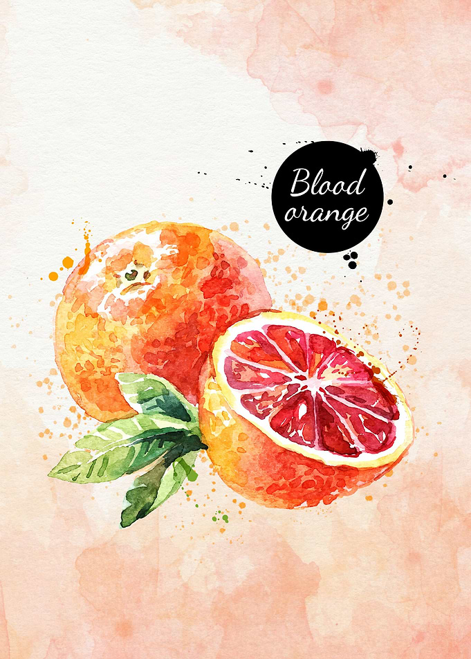 blood orange watercolor