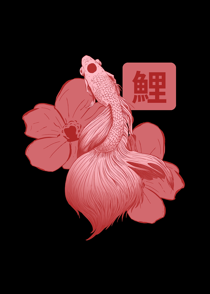 Japanese Koi Fish