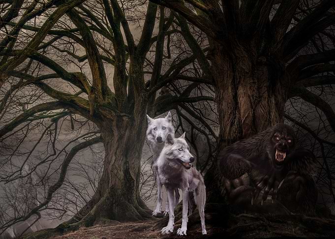 Mystic Animal Pictures