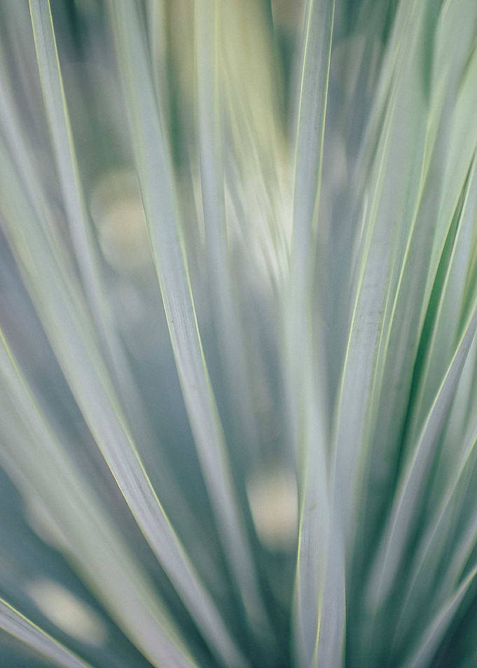 abstract blur