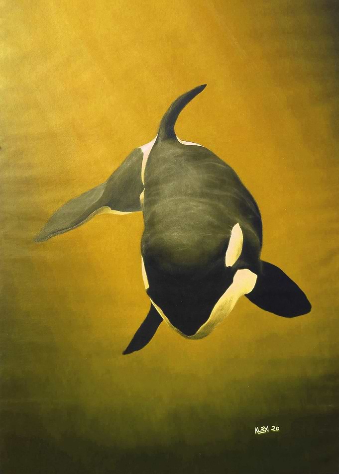 She Wolf Killer Whale