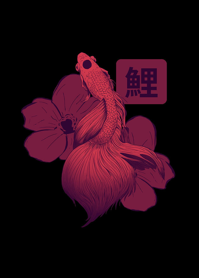 Japanese Koi Fish