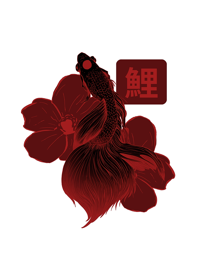 Japanese Koi Fish