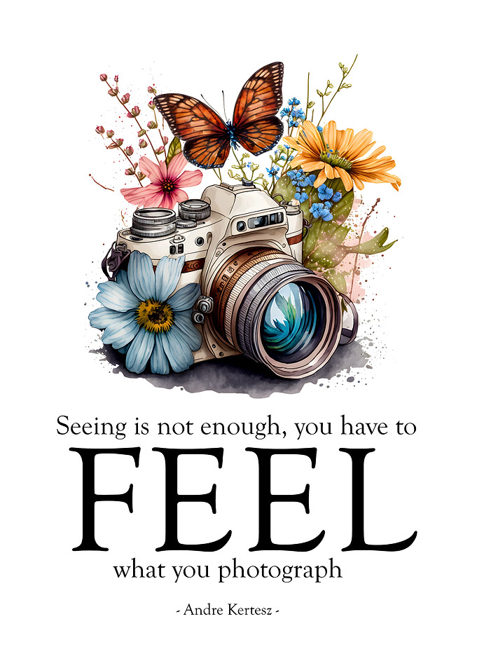 Feel what you photograph