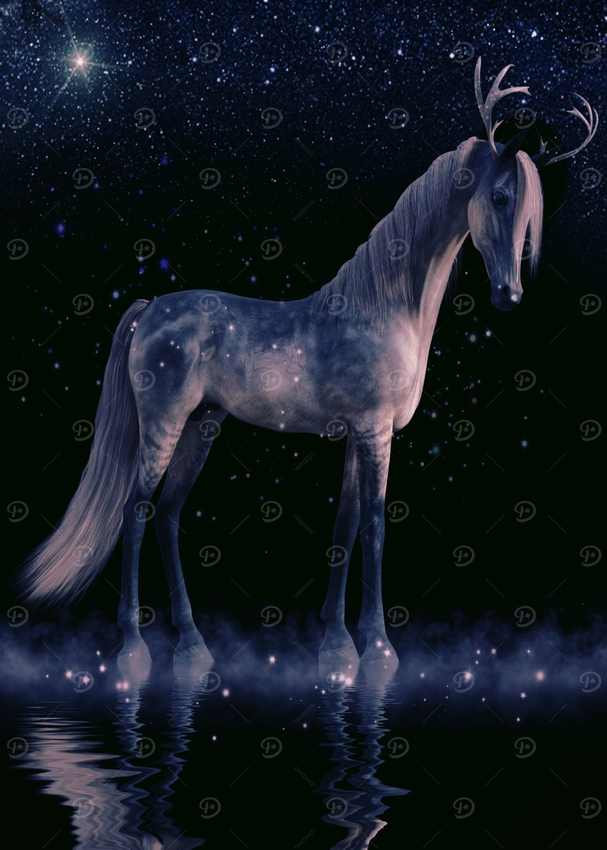 Mystic Animal Pictures