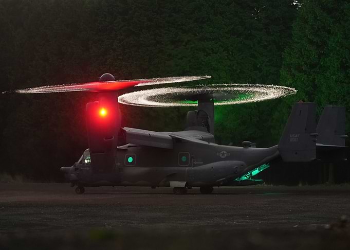Osprey at night